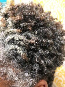 African american Nina's curly gray grey silver hair