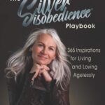 the silver disobedience book